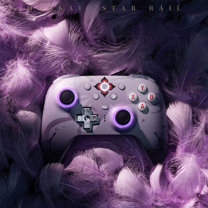 Evernight Wireless Gaming Controller